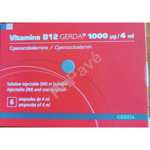 VITAMINE B12 GERDA  INJ B/6 AMP  lot de 200